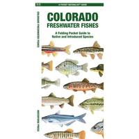 Colorado Freshwater Fishes: A Folding Pocket Guide to Native and Introduced Species - Paperback