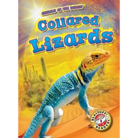 Collared Lizards - Library Binding