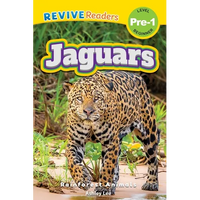Jaguars: Rainforest Animals (Revive Readers, Level Pre-1) - Paperback