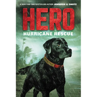 Hero: Hurricane Rescue - Paperback