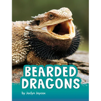 Bearded Dragons - Paperback