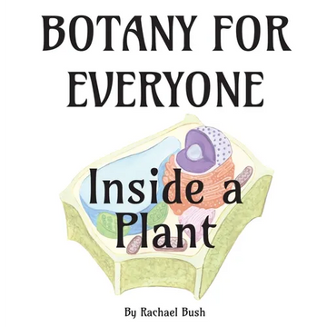 Botany for Everyone: Inside a Plant - Hardcover