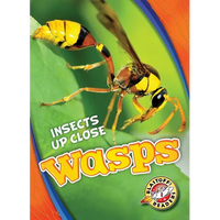 Wasps - Library Binding