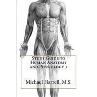 Study Guide to Human Anatomy and Physiology 1 - Paperback