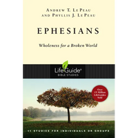 Ephesians: Wholeness for a Broken World - Paperback