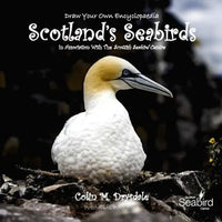 Draw Your Own Encyclopaedia Scotland's Seabirds - Paperback