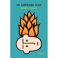 The Surprising Place: Stories - Paperback