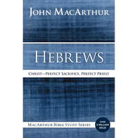 Hebrews: Christ: Perfect Sacrifice, Perfect Priest - Paperback