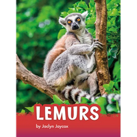 Lemurs - Paperback