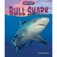 Bull Shark - Library Binding