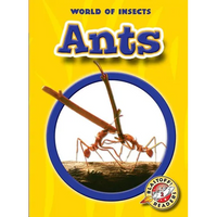 Ants - Paperback