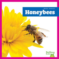 Honeybees - Paperback