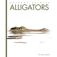 Alligators - Paperback