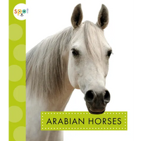Arabian Horses - Paperback