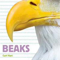 Beaks - Paperback