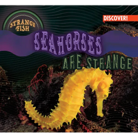 Seahorses Are Strange - Library Binding