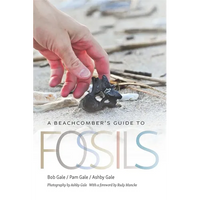 A Beachcomber's Guide to Fossils - Paperback