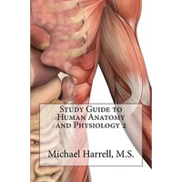 Study Guide to Human Anatomy and Physiology 2 - Paperback