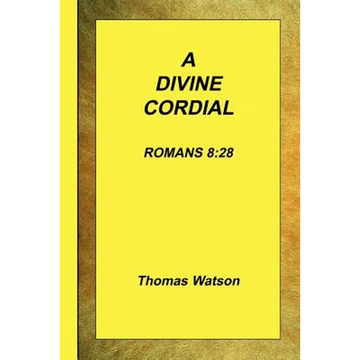 A Divine Cordial - Romans 8: 28 - Paperback