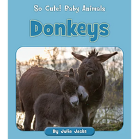 Donkeys - Paperback