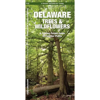 Delaware Trees & Wildflowers, 2nd Ed: A Folding Pocket Guide to Familiar Plants - Paperback