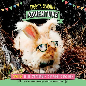 Digby's Reading Adventure - Paperback