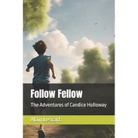 Follow Fellow - Paperback