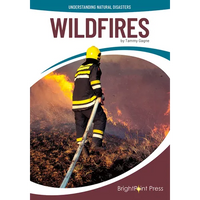 Wildfires - Hardcover