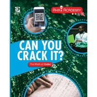 Can You Crack it? The Math of Codes - Paperback