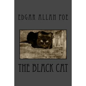 The Black Cat - Paperback
