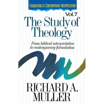The Study of Theology: From Biblical Interpretation to Contemporary Formulation - Paperback
