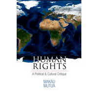 Human Rights: A Political and Cultural Critique - Paperback