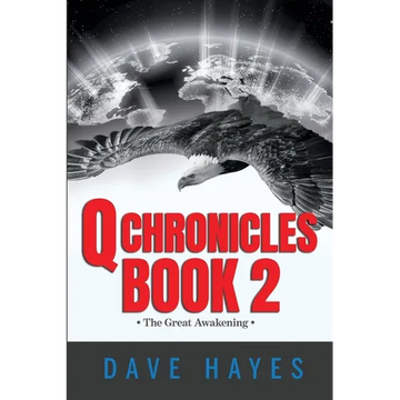 Q Chronicles Book 2 - Paperback