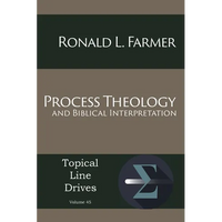 Process Theology and Biblical Interpretation - Paperback