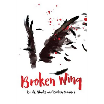 Broken Wing: Birds, Blades and Broken Promises - Paperback