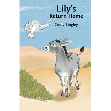 Lily's Return Home - Paperback