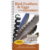 Bird Feathers & Eggs of the Southwest: Identify 40 Species of Common Backyard Birds - Spiral