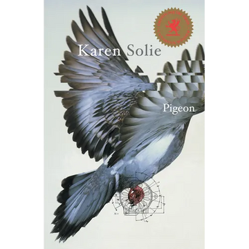 Pigeon - Paperback
