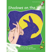 Shadows on the Wall - Paperback