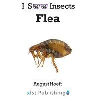 Flea - Paperback