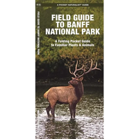 Banff National Park, Field Guide to: A Folding Pocket Guide to Familiar Plants & Animals - Paperback