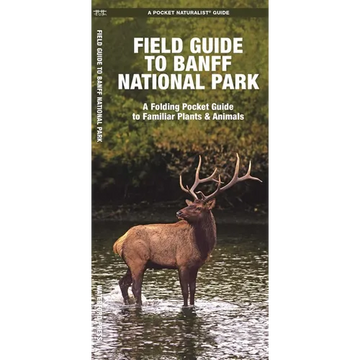Banff National Park, Field Guide to: A Folding Pocket Guide to Familiar Plants & Animals - Paperback