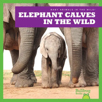 Elephant Calves in the Wild - Library Binding