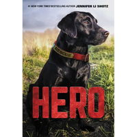 Hero - Paperback