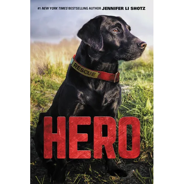 Hero - Paperback