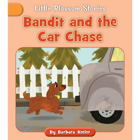 Bandit and the Car Chase - Paperback