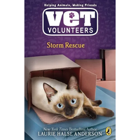Storm Rescue - Paperback