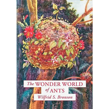 The Wonder World of Ants - Paperback