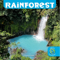Rainforest - Library Binding