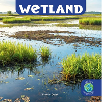 Wetland - Library Binding